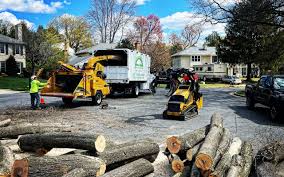 Leaf Removal in Sultan, WA