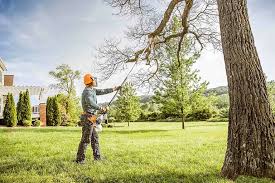 Best Tree Trimming and Pruning  in Sultan, WA